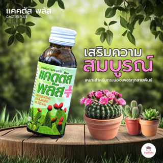 แคคตัส พลัส สารเพิ่มความสมบูรณ์ วิตามินสำหรับแคคตัส