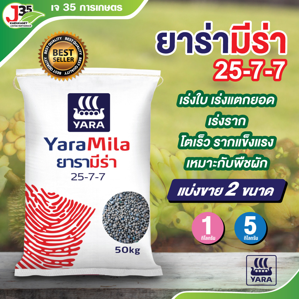 ปุ๋ยยารามีร่า​ 25-7-7 แบ่งขาย 1,5 เร่งใบ เร่งแตกยอด เร่งราก โตเร็ว รากแข็งแรง เหมาะกับพืชผัก ตราปุ๋ยเรือใบ ปุ๋ยเคมี
