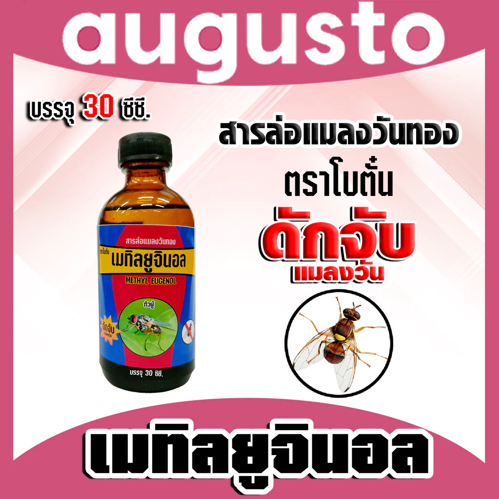 สเปร์ยสารล่อแมลงวันทอง / เมทิลยูจินอล / อุปกรณ์ดักแมลงวันทองกับดักแมลงวันทอง น้ำยาดักแมลงวันทอง น้ำยาล่อแมลงวัน หัวเชื้อ