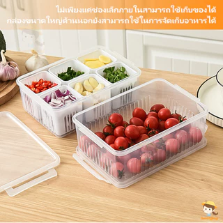 SWEETYBAYI กล่องเก็บอาหาร 4/6 ช่อง ที่เก็บผัก มีฝาปิดในตัว กล่องเก็บกระเทียมสด กล่องจัดเก็บในตู้เย็น