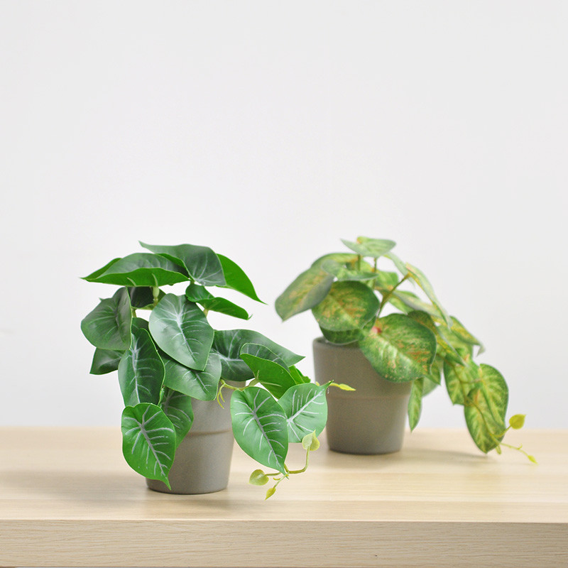 ต้นไม้ปลอม พืช Pothos ประดิษฐ์ในร่มในหม้อสีขาว - พืชกระถางเทียม Pothos สําหรับตกแต่งบ้านความงามห้องน