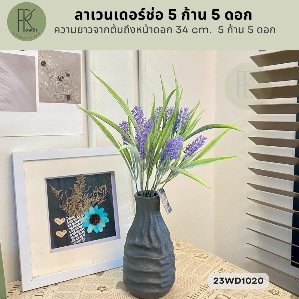 ลาเวนเดอร์ช่อ 5 ก้าน 5 ดอก ความยาวจากต้นถึงหน้าดอก 34 cm.  5 ก้าน 5 ดอก