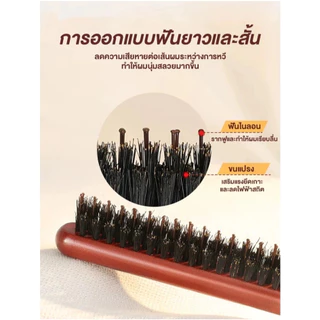 หวีขนหมูป่า หวี หวีแปรง หวีรวบผม หวีจัดแต่งทรงผม 3แถว