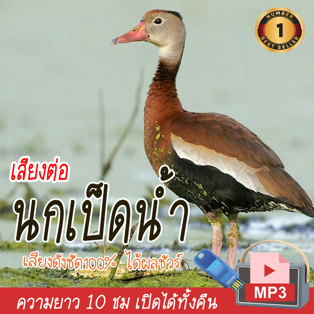 เสียงต่อ นกเป็ดน้ำ นกเป็ดแดง เสียงนกเป็ดใหม่ล่าสุด แฟลชไดร์ฟ USB mp3 เสียงดังฟังชัด เปิดปุ๊บมาปั๊บ เสียงดังฟังชัด100%