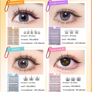 🔥【สินค้าพร้อมส่ง】ขนตาปลอม Life Girls มีกาวในตัว 100 คลัสเตอร์ ขนาดใหญ่ แหนบฟรี จัดส่งจากไทย
