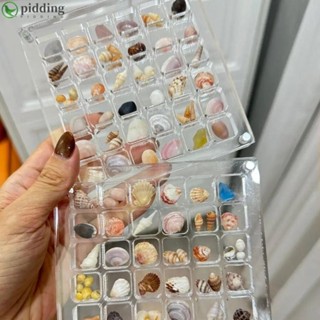 หยิบ กล่องเก็บเปลือกหอย,36/64/100กริดกล่องแสดงเปลือกหอยแม่เห…