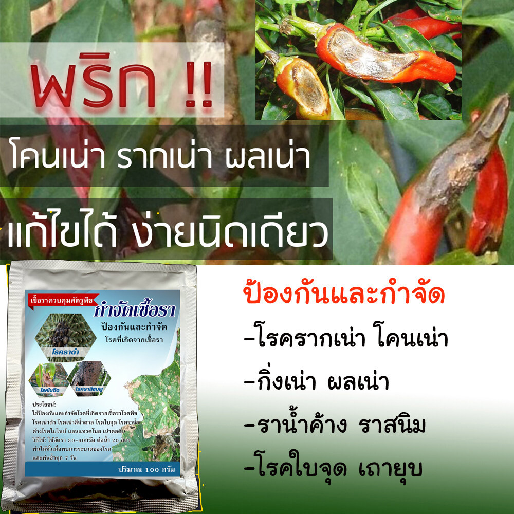 สารป้องกันกำจัดโรคพืชใบทุกชนิด ฉีดพ่น100 กรัม โรคพริกใบหงิก โรคใบจุด พริกเน่า ยาป้องกันโรคโคนเน่า ยาป้องกันโรคใบจุดดำ