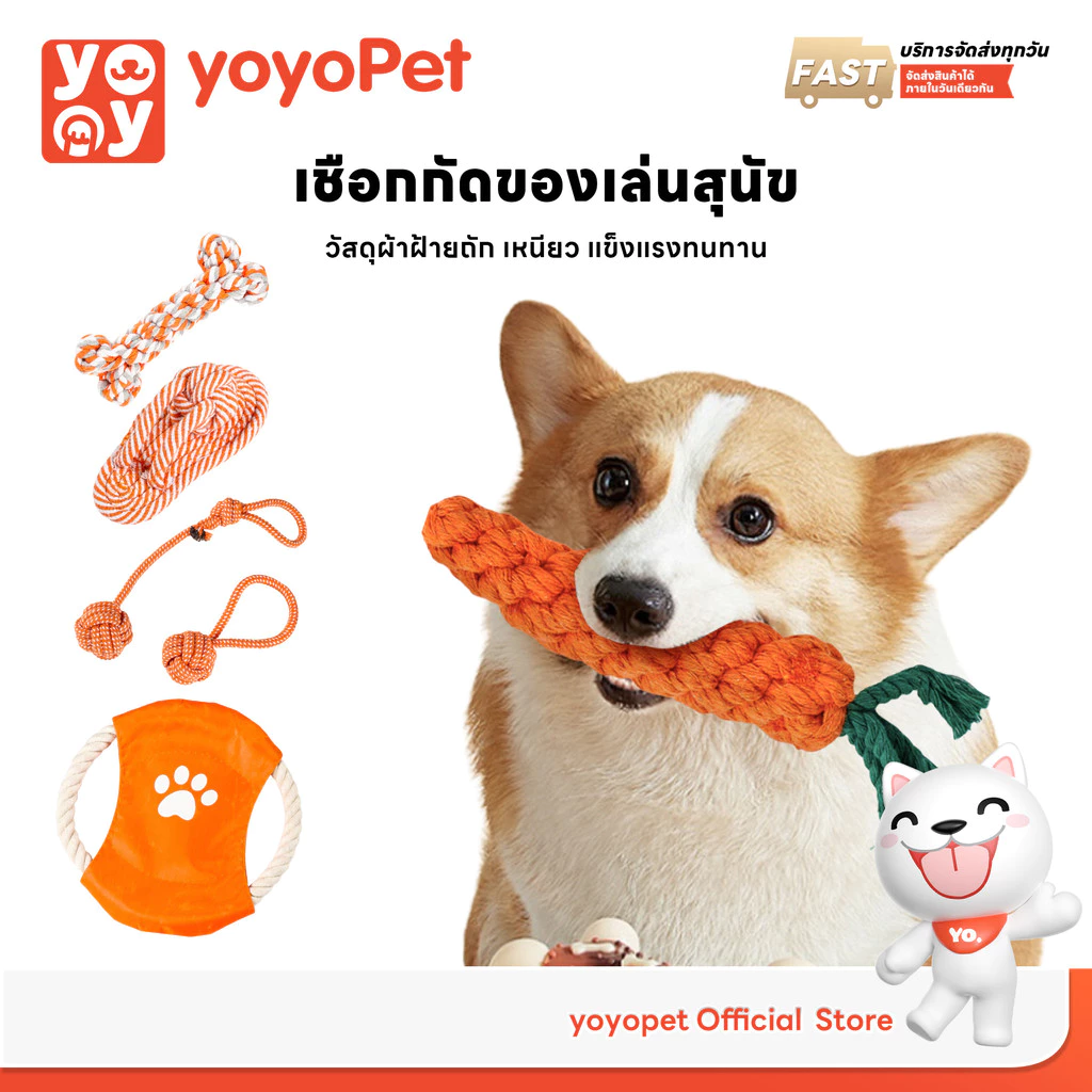 yoyopet : เชือกกัด ขัดฟันสุนัข ของเล่นสัตว์เลี้ยง กัดเพลิน ขัดฟันสะอาด มีหลายแบบให้เลือก น่ารัก