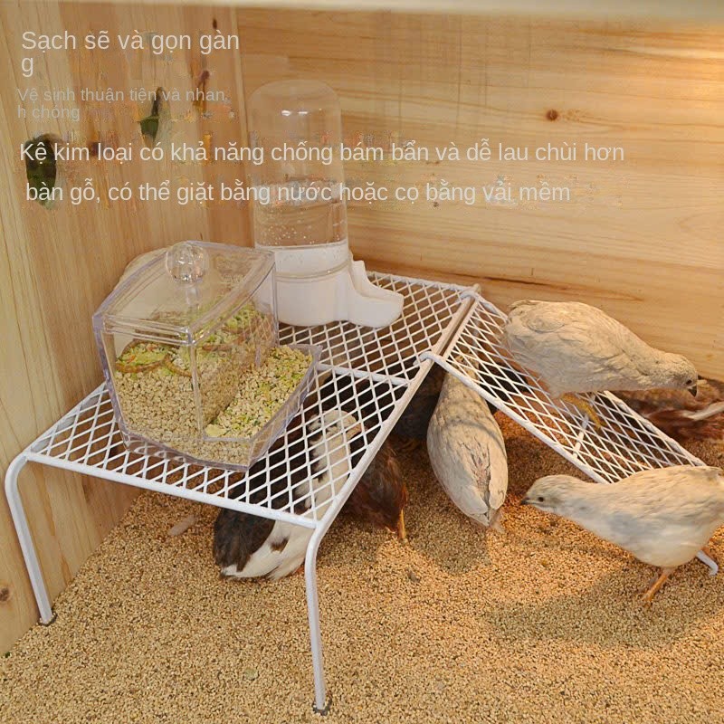 Rutin ไก่บันไดบ้าน Rutin นกกระทาไก่ฟาร์มหนูแฮมสเตอร์บ้าน Rutin ชั้นวางอาหารไก่ชั้นวางป้อน