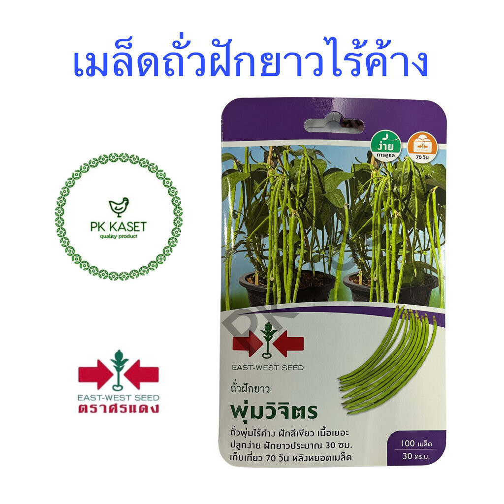 เมล็ดถั่วุพุ่มไร้ค้าง พุ่มวิจิตร ศรแดง ซองแข็ง 100 เมล็ด ผักสวนครัว
