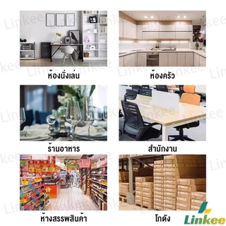 Linkee ลูกเหม็นไล่หนู ไล่หนู เบือหนู แรงๆ แห้ง 5 เม็ด / 10 เม็ด ต่อถุง Anti Rat Tool