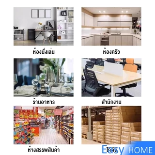 Easy ลูกเหม็นไล่หนู ไล่หนู เบือหนู แรงๆ แห้ง 5 เม็ด / 10 เม็ด ต่อถุง Anti Rat Tool