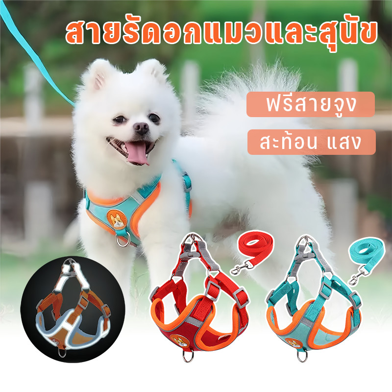 สายรัดอกแมวและสุนัข ฟรีสายจูง สายจูงสะท้อนแสงสำหรับสัตว์เลี้ยงกลางแจ้ง  สุนัขและแมวสามารถใช้ได้