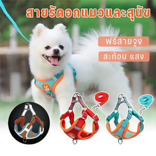 สายรัดอกแมวและสุนัข ฟรีสายจูง สายจูงสะท้อนแสงสำหรับสัตว์เลี้ยงกลางแจ้ง  สุนัขและแมวสามารถใช้ได้