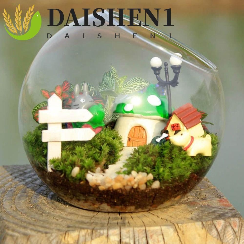 Daishen1 แจกันแก้วใส บอโรซิลิเกต แบบเฉียง 8 10 12 16 ซม. สําหรับปลูกพืชอวบน้ํา