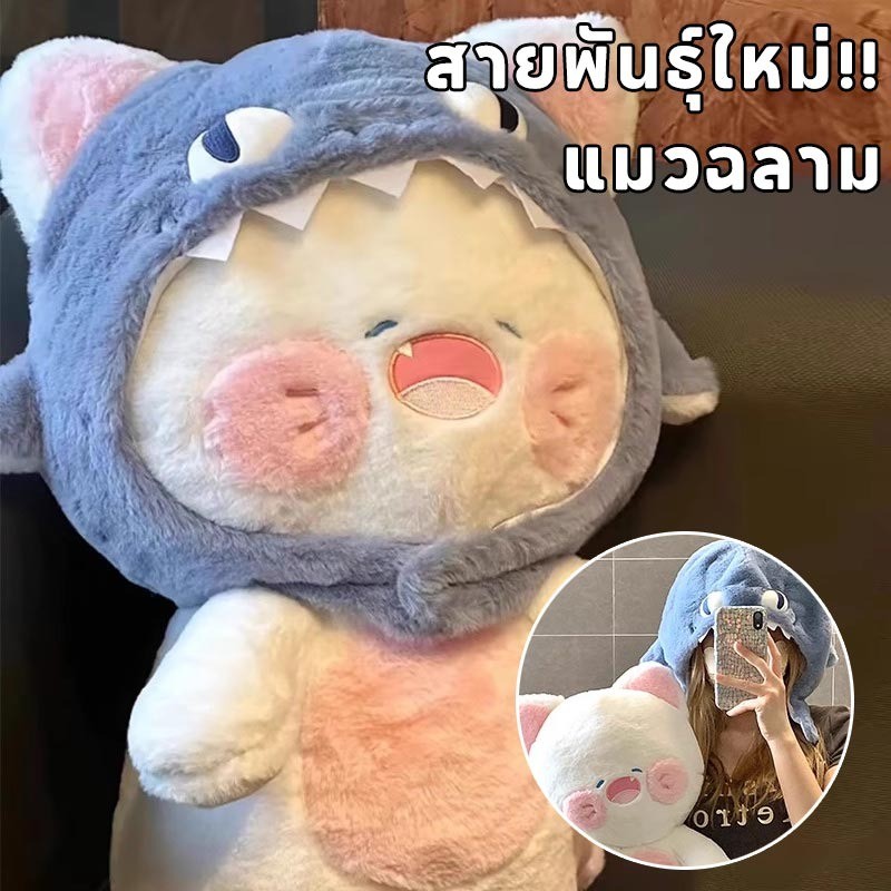 ตุ๊กตาแมว สวมหมวกฉลาม แมวฉลาม ของเล่นตุ๊กตา อ่อนนุ่ม หมวกสามารถถอดออกได้ น่ารักมาก 35/50ซม