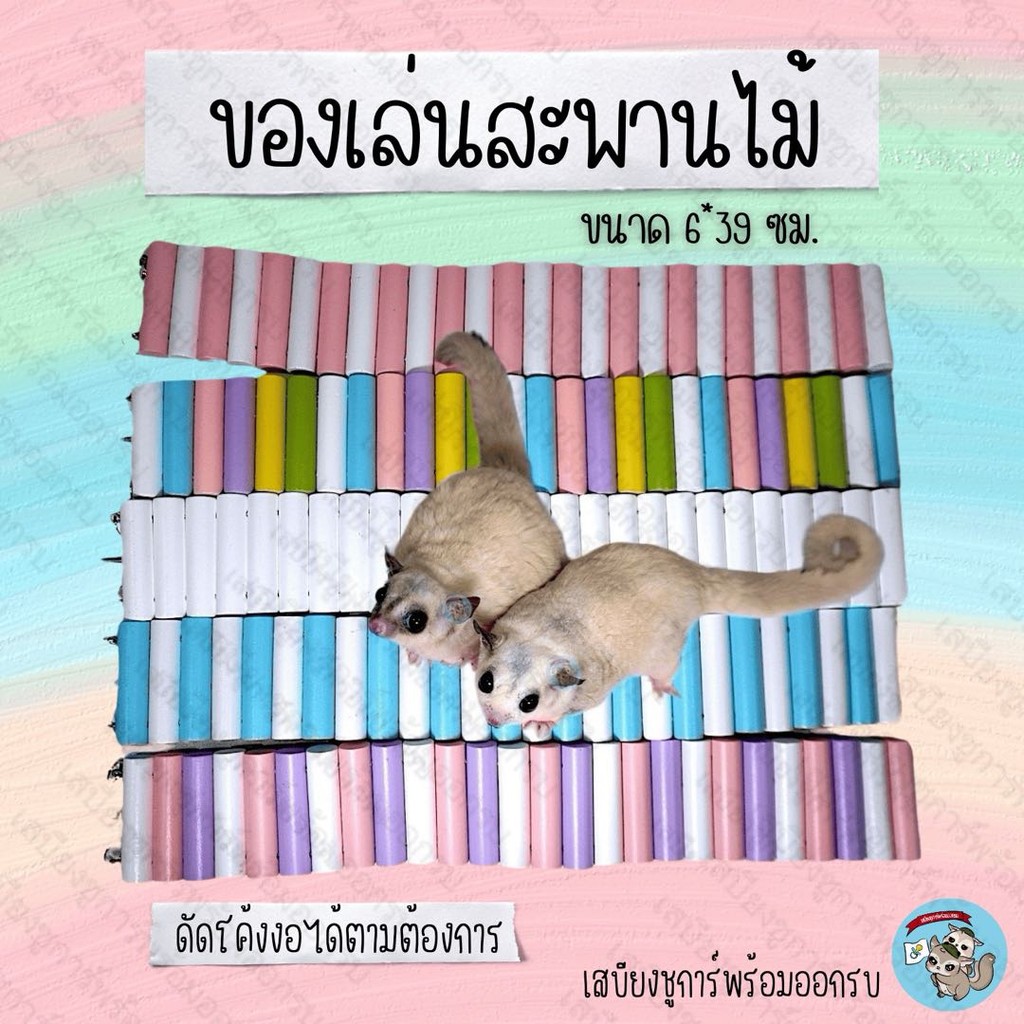 V ( สะพานไม้ดัด 6*39 ซม. ) สะพาน ของตกแต่งกรง ของเล่น ของแต่งกรง สะพานไม้ ของเล่น ชูการ์ กรง กระรอก ของเล่น นก แฮมสเตอร์