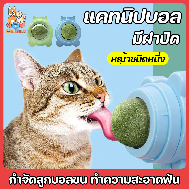 พร้อมส่ง😻กัญชาแมว Catnip แคทนิปบอล หญ้าชนิดหนึ่ง ติดกำแพง ของเล่นแคทนิป หญ้าแมว