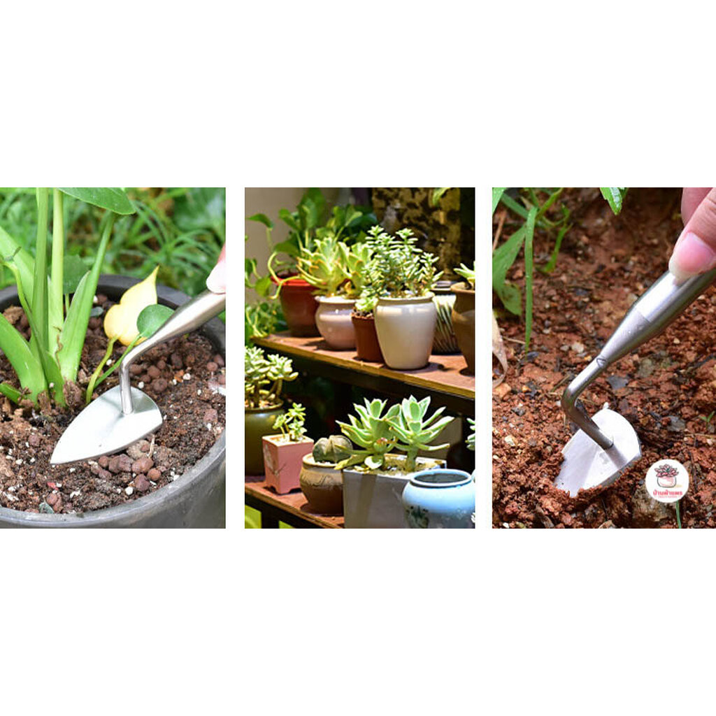 ที่กดหน้าดินสแตนเลส ปาดหน้าดิน เกลี่ยดิน พลั่วขนาดเล็ก อุปกรณ์ช่วยปลูกต้นไม้ แคคตัส กระบองเพชร cactus&succulent - รูปที่ 3