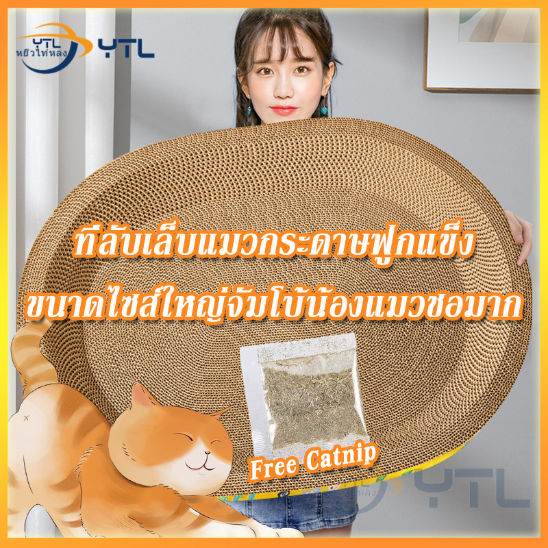 YTL ที่ลับเล็บแมว(รูปอ่าง) ของเล่นแมว ที่นอนแมว 2 in 1 แผ่นลับเล็บ ที่ฝนเล็บสัตว์เลี้ยง มีหลายแบบ หลายขนาด