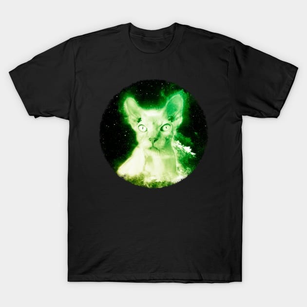 เสื้อยืด Vintage Sphynx Cat Shirt Nebula Space Hairless Cat T Shirt T-Shirt แท้ Cotton 100% ไม่ย้วย