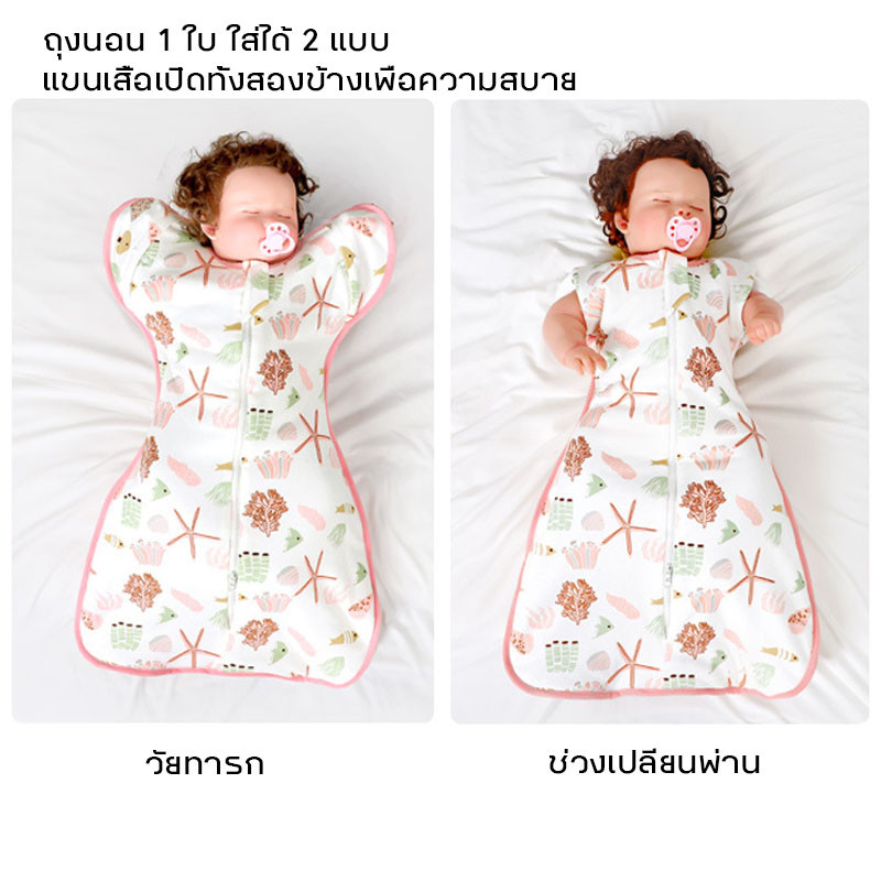 รูปภาพ 2