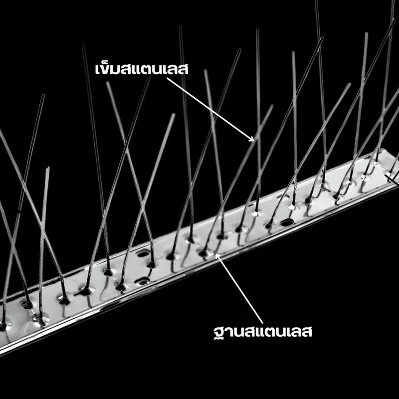 หนามไล่นก ไล่นกพิราบBird Spikes อุปกรณ์ไล่นกทำรัง ที่ดักนก หนามกันนก กันนกเกาะ อุปกรณ์ไล่นกทำรัง สแตนเลส ทนทาน - รูปที่ 6