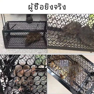กรงดักหนูแบบมีโครง กรงดักหนูนา กรงดักหนูเล็ก พับเก็บได้ ไม่เปลืองพื้นที่ mouse traps ใช้ซ้ำได้