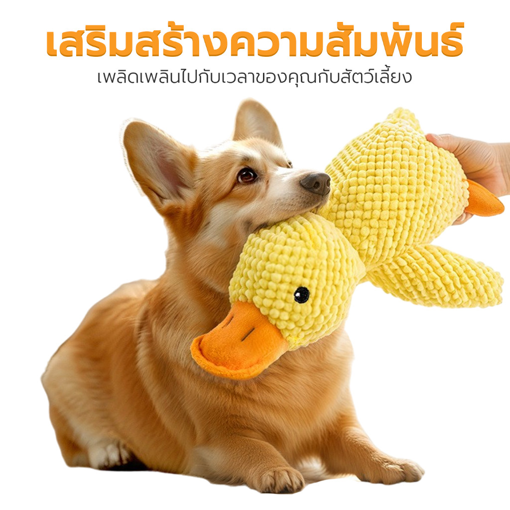 ของเล่นสุนัข ของเล่นตุ๊กตาสุนัข ของเล่นสัตว์์เลี้ยง Dog Toy ทนต่อการกัด  ทำให้ผ่อนคลาย Petus pet ราคา ถูกที่สุด ดีลบีเคเค แกลเลอรีภาพที่ 5