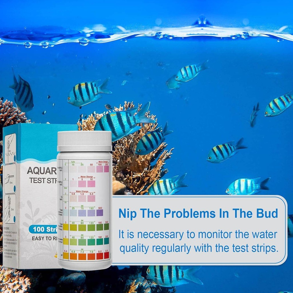 รูปภาพ 6