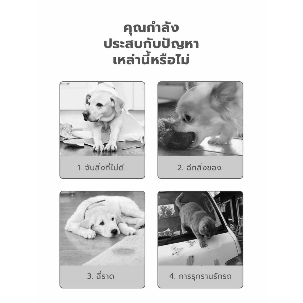 สเปรย์ไล่แมว-หมา สูตรธรรมชาติ กันฉี่ ใช้ได้ทุกพื้นผิว thumbnail 8