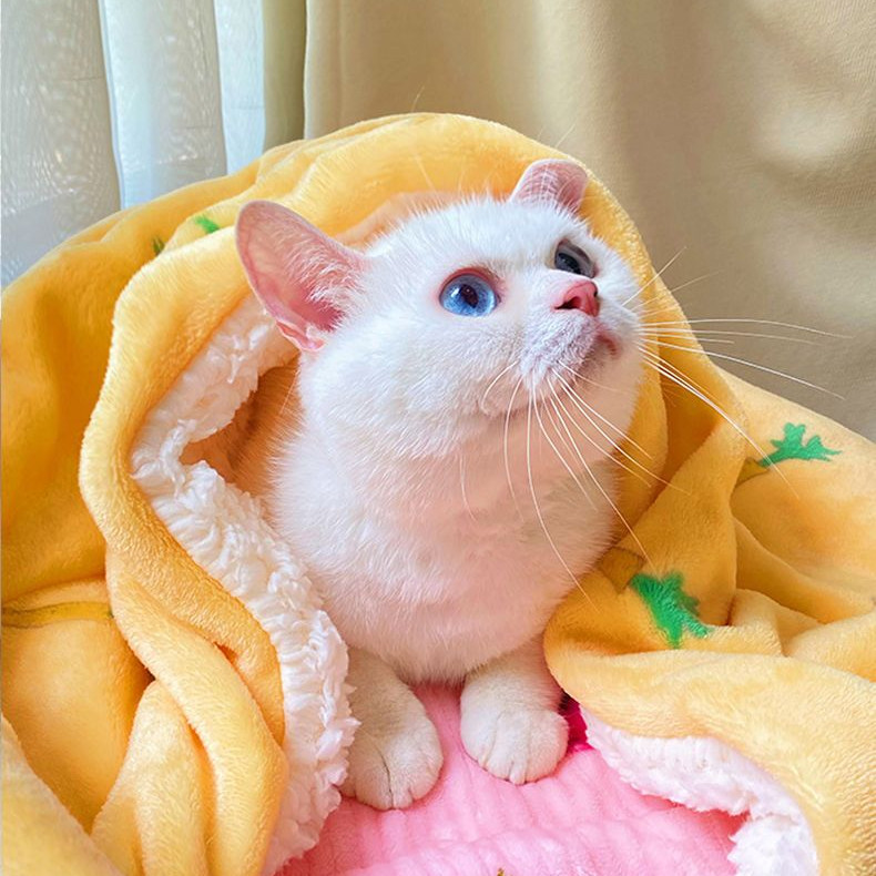 ผ้าห่มสัตว์เลี้ยงแมวฤดูหนาวผ้าห่มสุนัขที่นอน