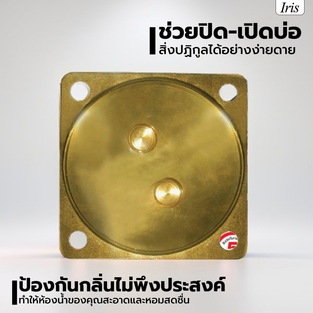 GlobalHouse Iris ฝาส้วมทองเหลือง รุ่น BRASSLID5 ขนาด 5 นิ้ว สีทอง สินค้าของแท้คุณภาพดี