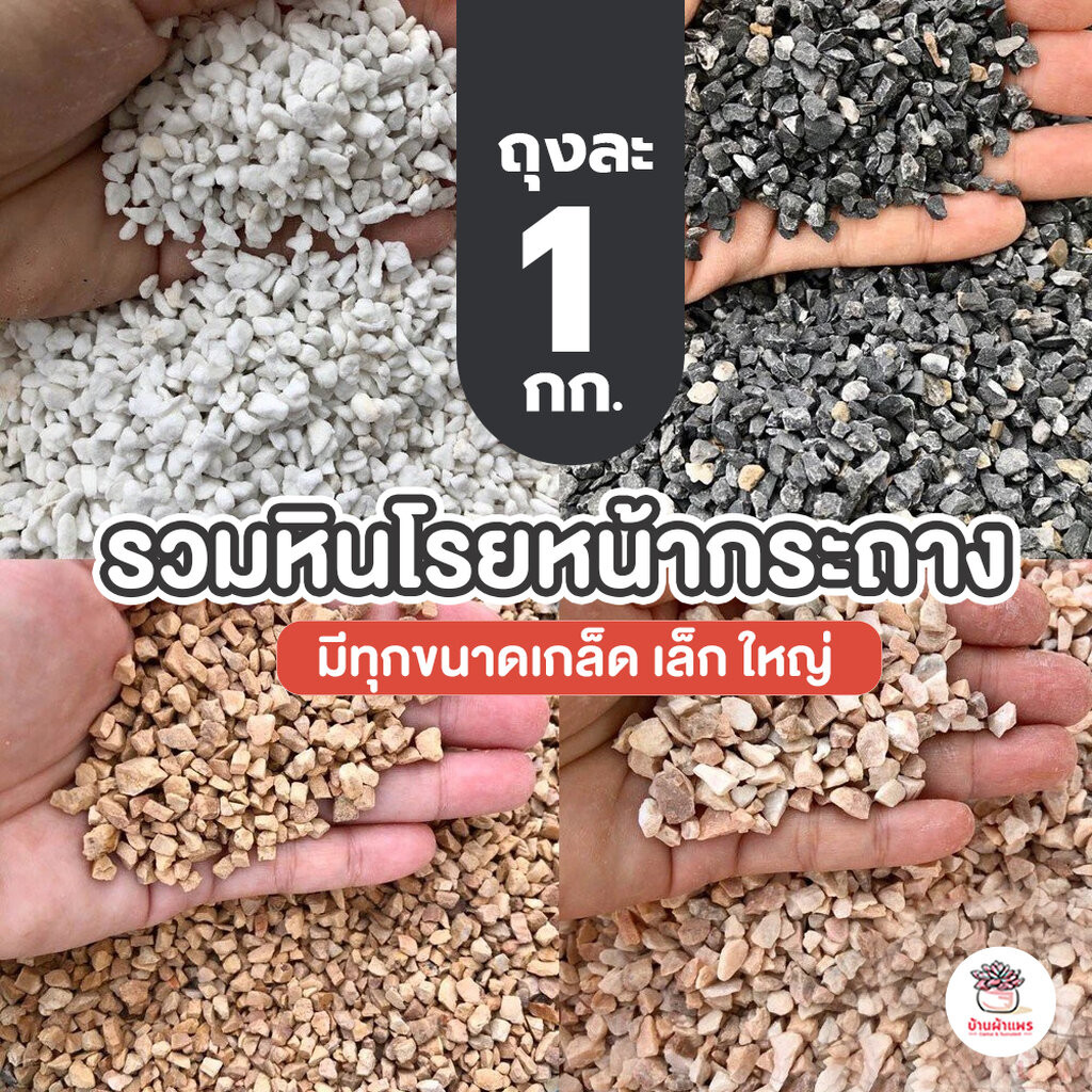 [ 1 กก. ] รวมหินโรยหน้ากระถาง หินเกล็ดโรยกระบองเพชร แคคตัส ไม้อวบน้ำ