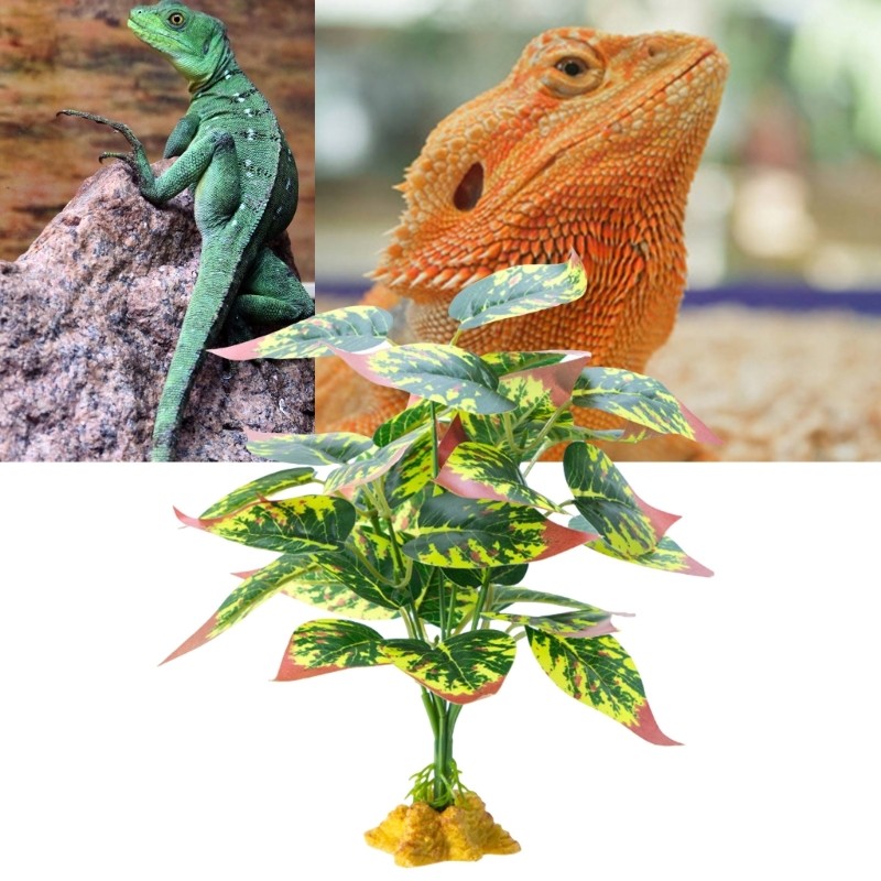 HO Durability สัตว์เลื้อยคลาน Habitats Aquariums เครื่องประดับจําลองสัตว์เลี้ยงปีนเขา