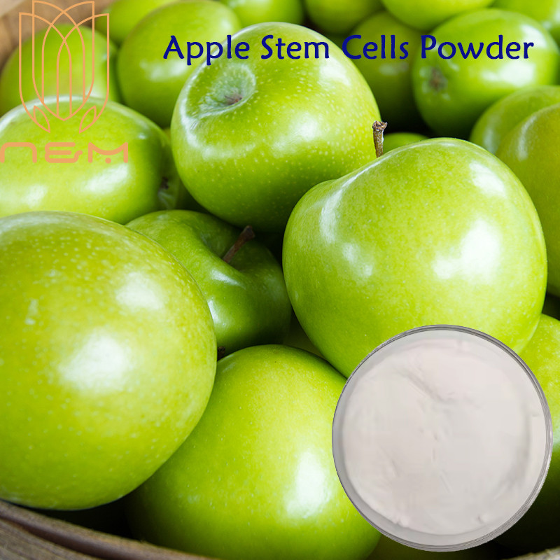 N&M/ แป้งสเต็มเซลล์แอปเปิ้ล | บูสท์ ไวทัลลิตี้ แอนด์ เรเดียนซ์ | Youthful Glow Booster/ Non-GMO ปราศ