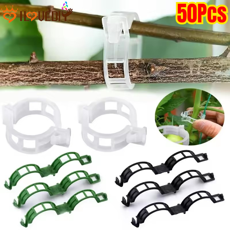 [HGB] 10/30/50 ชิ้นสวนพืชสนับสนุนคลิปสําหรับ Vine Crops | คลิปหนีบฝึกพืชแบบใส 2.5 ซม. ดีไซน์กันลื่น คลิปหนีบผักวัสดุ หน้า ทนทาน
