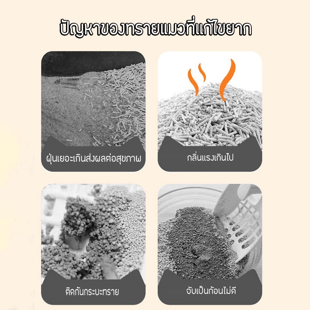 รูปภาพ 4