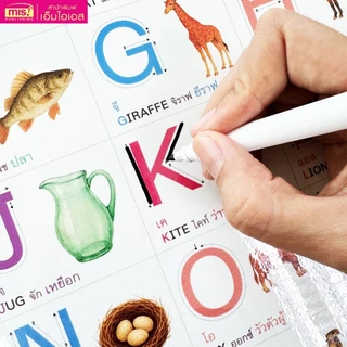 โปสเตอร์เสริมการเรียนรู้สำหรับเด็ก A3 แบบฝึกอ่าน ก-ฮ | ABC | 123 | Animals