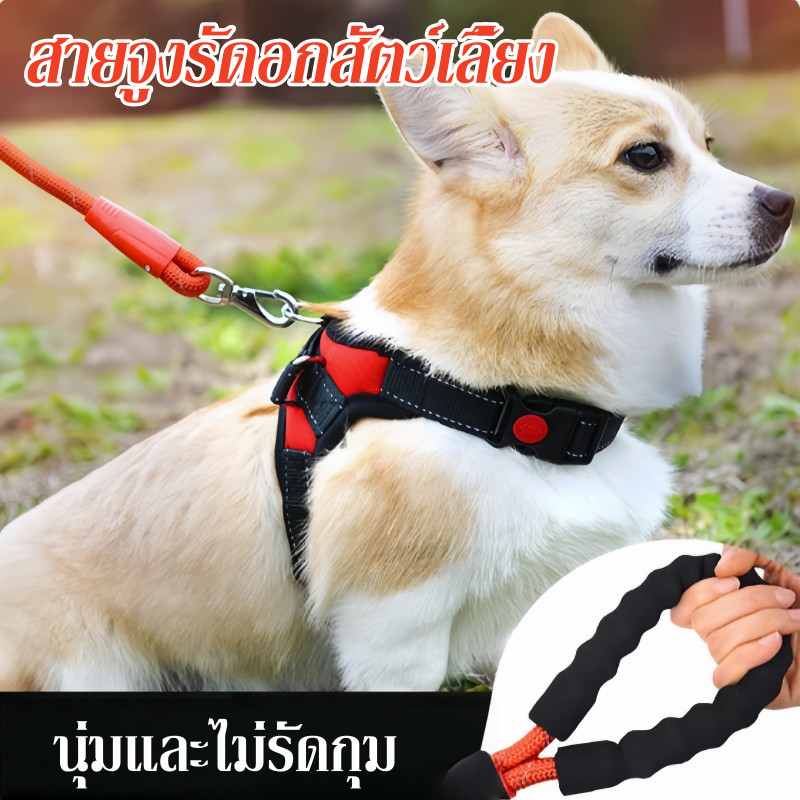 สายจูงสุนัข สายจูงรัดอกสัตว์เลี้ยง สายจูงสะท้อนแสง เชือกจูงสุนัขใหญ่ เชือกจูงหมา เชือกจูงสะท้อนแสง