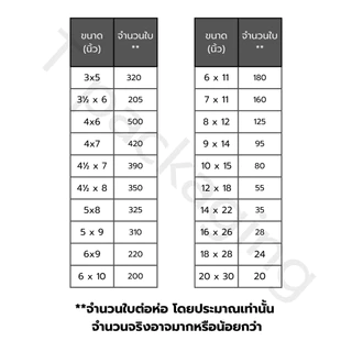 ถุงร้อน ใส PP ถุงแกง ตรากระต่าย 500 กรัม มีหลายไซส์ให้เลือก