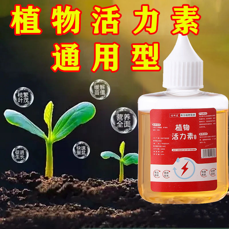 Plant Vitality Plant Universal Type Vitality Plant Vitality Plant Vitality Plant Fairy Water กระถางต