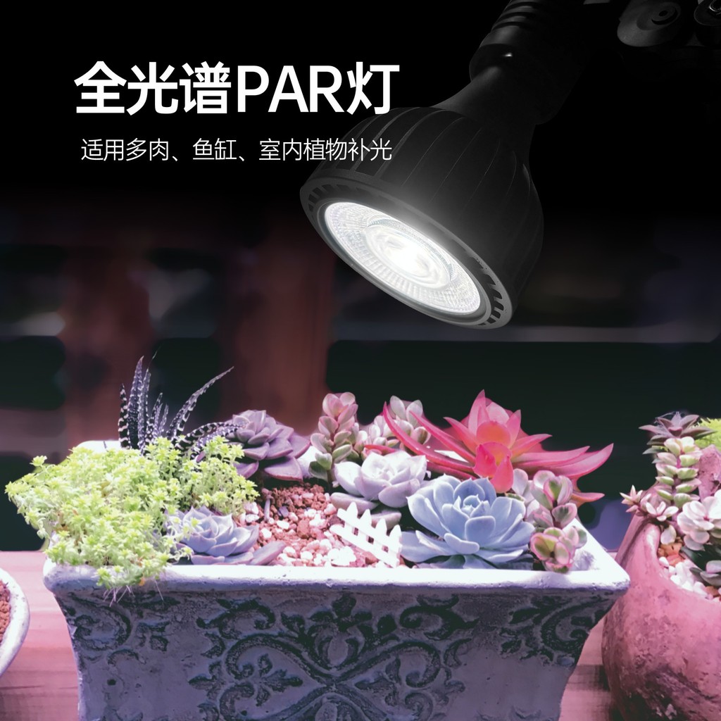 Par20 Par38 ไฟ LED Grow Light พร้อม CRI 97Ra 10W 20W 30W Par10 E27 หลอดไฟ Par38 Spotlight