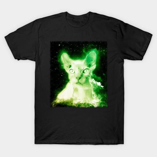 เสื้อยืด Vintage Hairless Cat Shirt Nebula Space Sphynx Cat T Shirt T-Shirt แท้ Cotton 100% รัดรูป