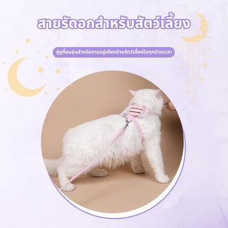 🐾สายจูงสัตว์เลี้ยง แมว หมา สุนัข เชือกรัดสัตว์เลี้ยง สายรัด น่ารัก คุณภาพดี มีหลายขนาดให้เลือก