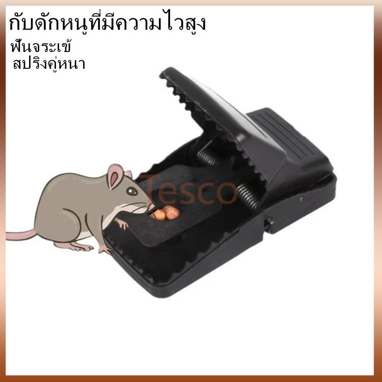 Tesco ที่ดักหนู แบบสปริง อุปกรณ์ดักหนู เหยื่อดักหนู สารกำจัดหนู กับดักหนูสปริง