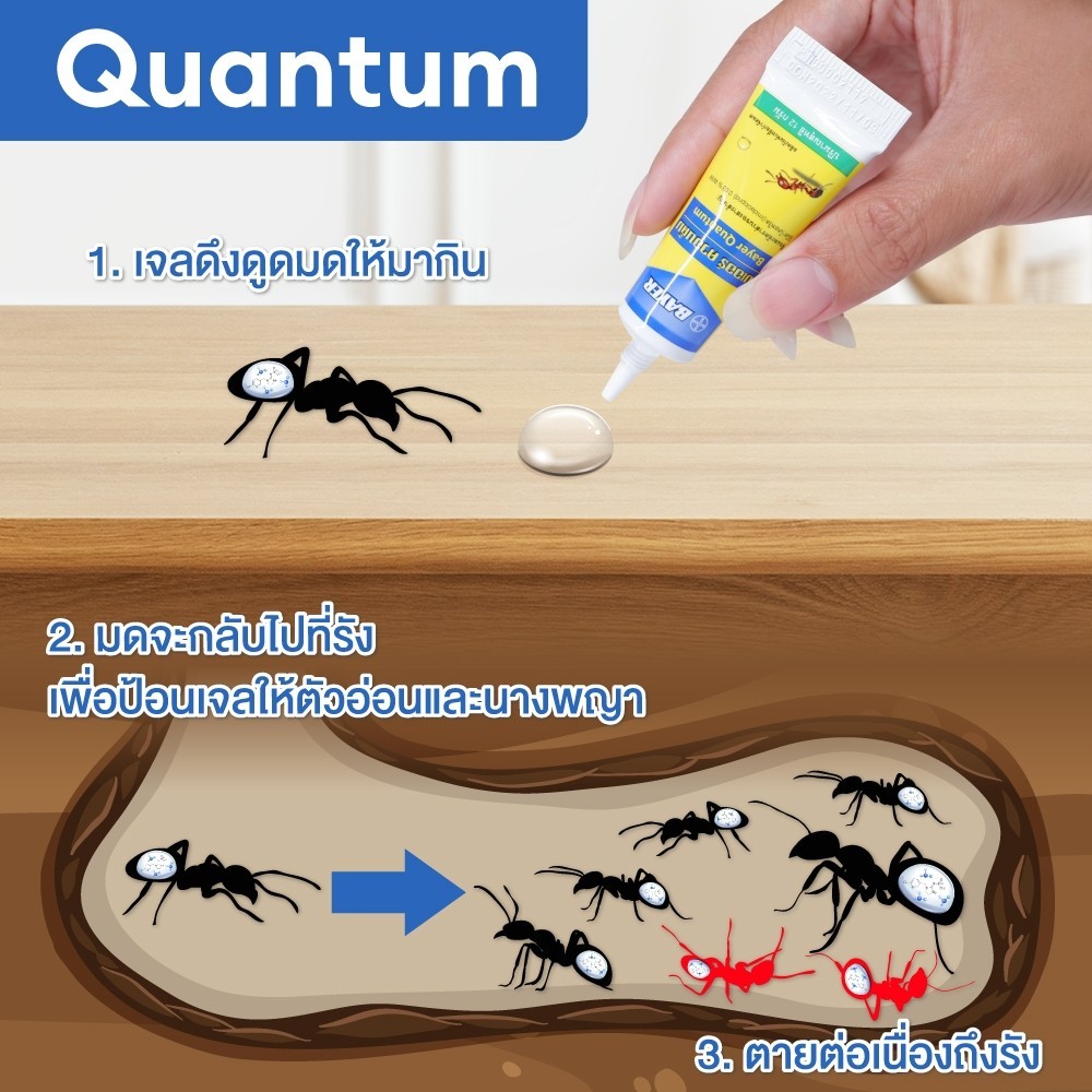 Bayer Quantum เจลกำจัดมด 12 กรัม
