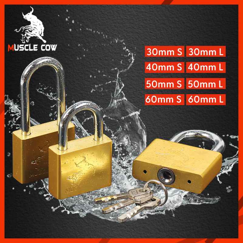 MUSCLE COW แม่กุญแจสีทอง พร้อมลูกกุญแจ 3 ดอก ล็อคแขวนและล็อคประตู ขนาด 30mm, 40mm, 50mm, 60mm แบบยาวและสั้น