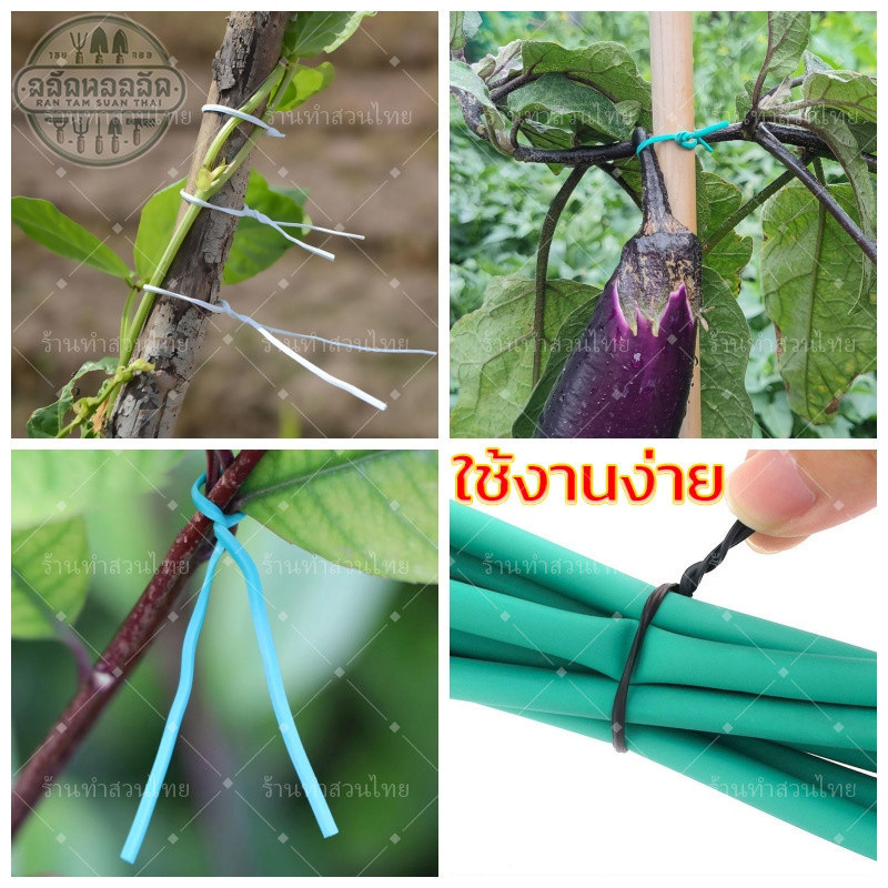 ลวดรัดกิ่งไม้ ลวด ลวดรัด ลวดเหล็กเคลือบพลาสติก ลวดใช้ตกแต่งต้นไม้ มัดละ 1000 เส้น ยาว 10ซม - รูปที่ 7
