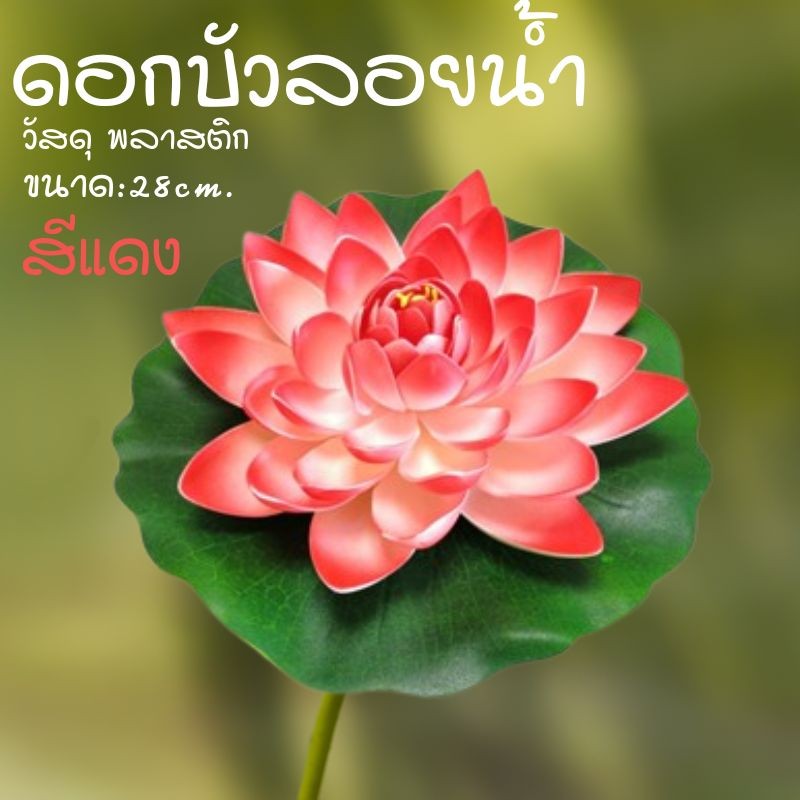 ดอกบัวลอยน้ำ 28 ซม เสริมฮวงจุ้ย  ตกแต่งรูป สวน สระ บ่อน้ำ - รูปที่ 2